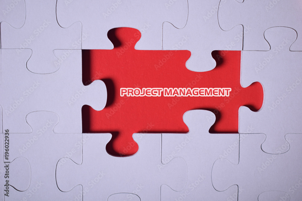 Puzzle with the word:PROJECT MANAGEMENT Puzzle with the word:PROJECT MANAGEMENT