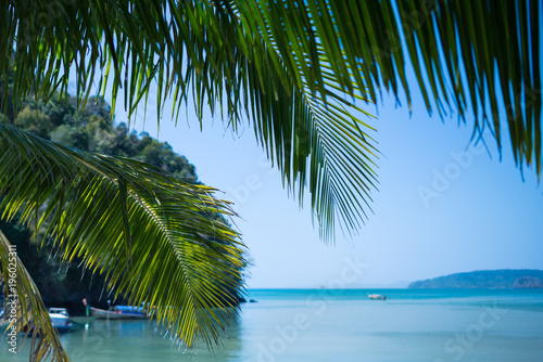 Travel concept. Scenic view on the sea  sky and mountains across palm branches. Focus on branches. Boats and trees on the background