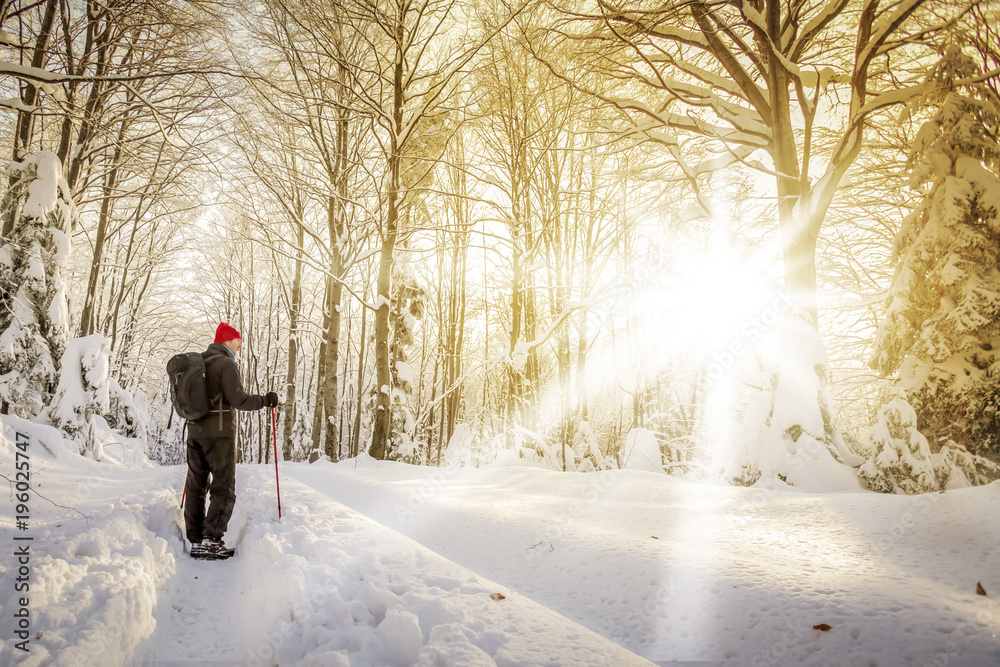 Hiker walking on a snowy mountain Hiker walking on a snowy mountain