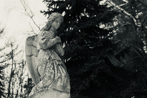 Ancient figure of a stone angel in an old cemetery © Stanislav Ostranitsa