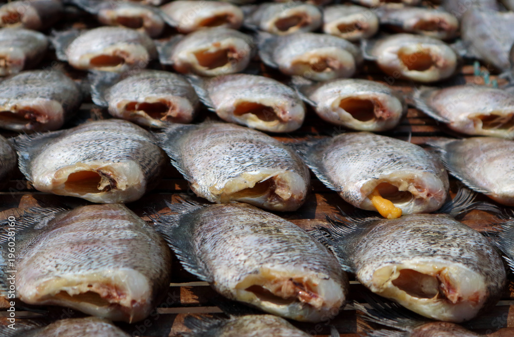 Trichogaster pectoralis,Fish is one of the most popular foods in ...