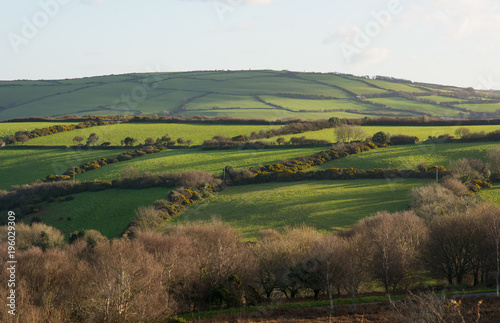 Fields on Exmoor near Lynton, Devon, England