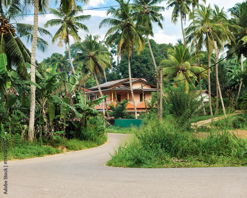 Φωτογραφία Concept privacy and tranquility in quiet place on tropic island - road leading to big house, surrounded by coconut palm trees and green plant