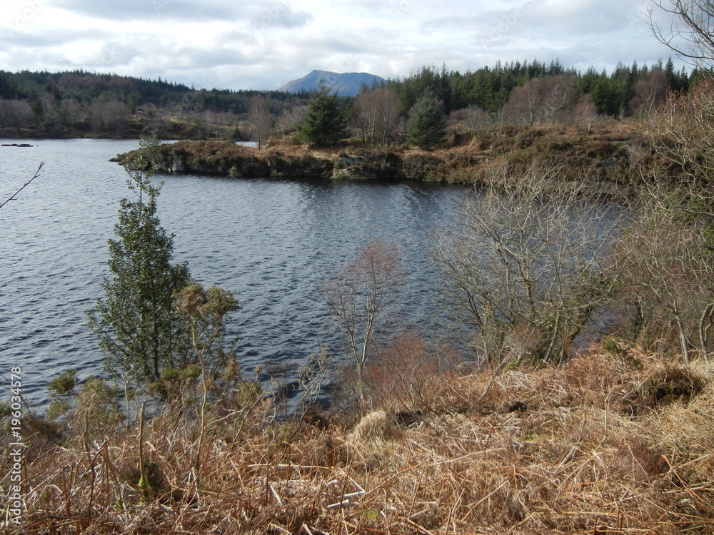 Lake outside of Betwys-y-Coed, Wales