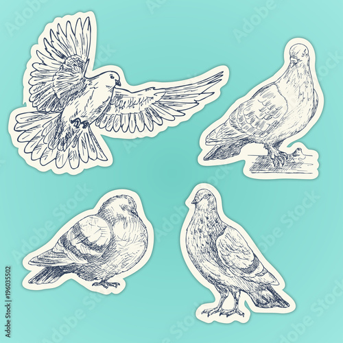 Set of hand drawn doves. Sketch of pigeons. Set of stickers
