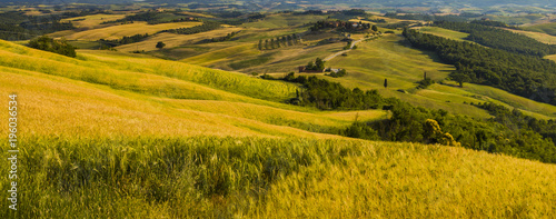 Fotografie, Obraz Tuscan landscape, fields and meadows on a warm sunny day