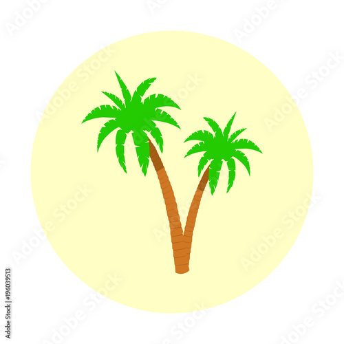 Palm trees colored icon  logo