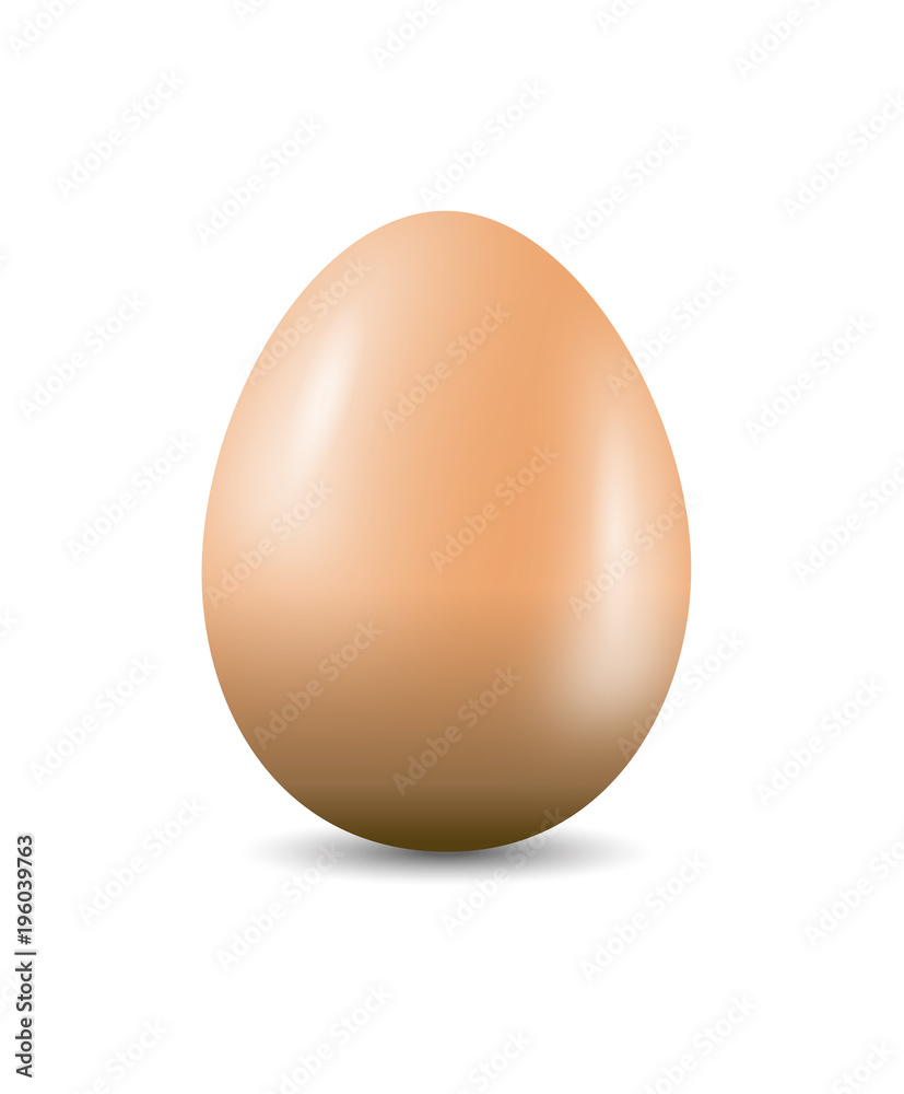 Egg Shaped Vector Egg Shaped Vector