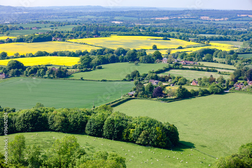 Summer rural landscape Southern England UK