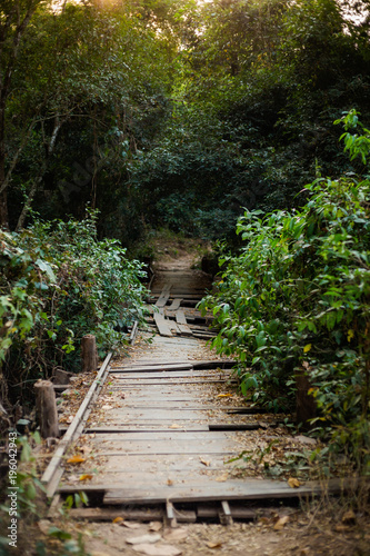 Landscape of Don Khone Laos