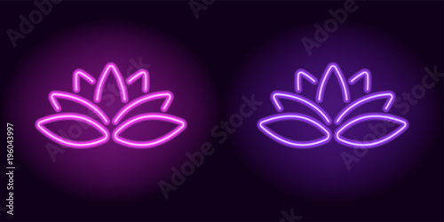 Neon purple and violet lotus