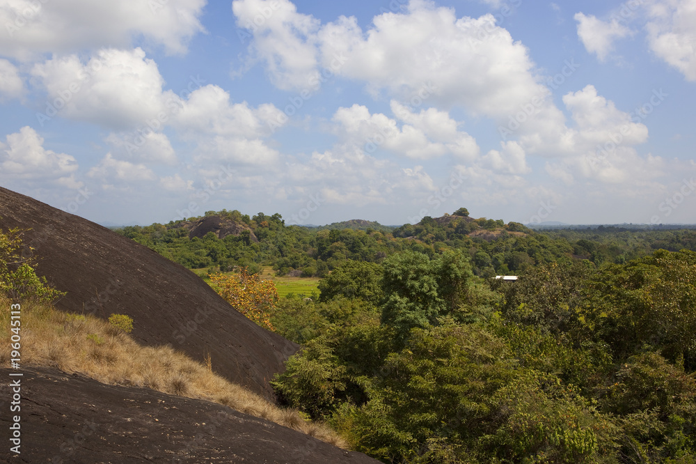 Obraz premium Beautiful Sri Lanka landscape with rocks and trees
