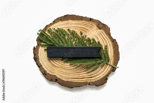 sawed off a tree, a green leaf and a black plate