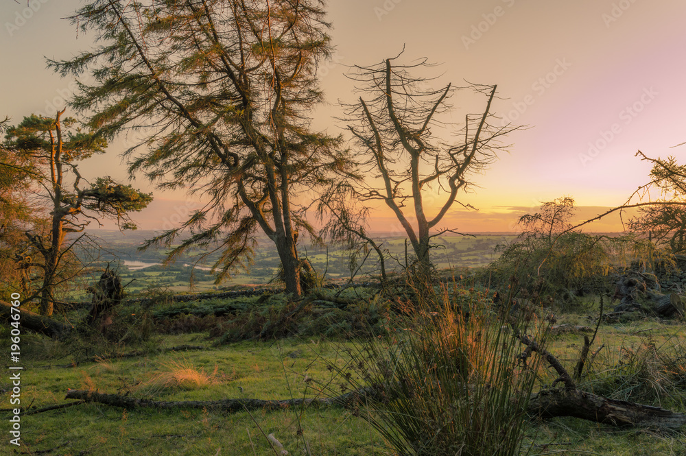Golden light illuminates the trees as the sun sets on the Roaches, Staffordshire in the Peak District National park. Golden light illuminates the trees as the sun sets on the Roaches, Staffordshire in the Peak District National park.