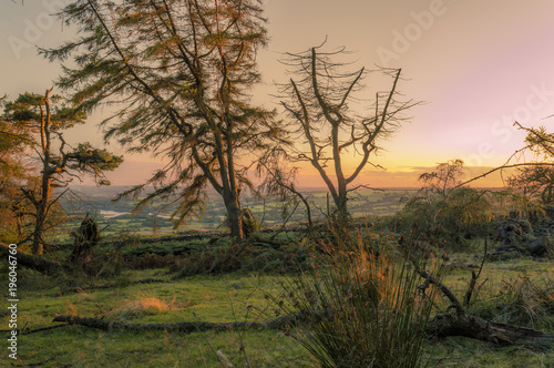 Golden light illuminates the trees as the sun sets on the Roaches, Staffordshire in the Peak District National park.