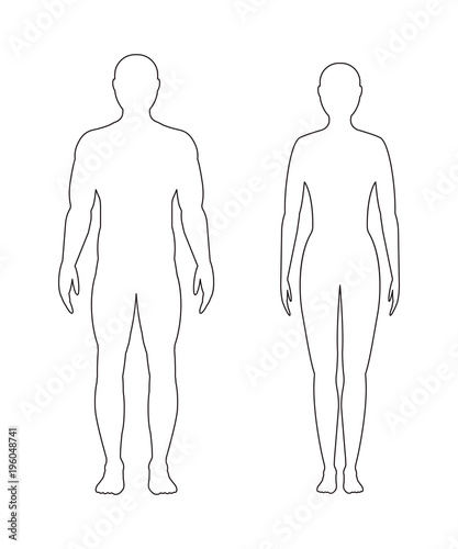 Male and female contour on white background, vector.