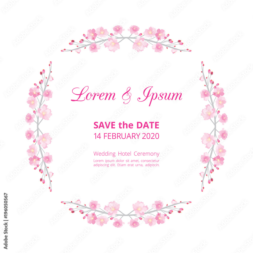 Full bloom pink sakura flower wedding card template circle, Cherry blossom floral vintage invitation frame isolated on white round background. Japan spring flora wreath curl border element.