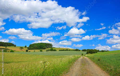 Field road with green grass and blue sky with clouds.