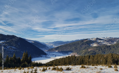 Landscape of forest in snow