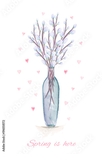 Spring is here hand drawn watercolor illustration. greeting card with watercolor pussy willow branches in the vase. Vector illustration