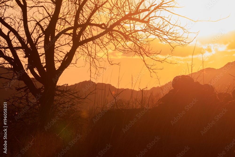 Naklejka premium Sun Washed