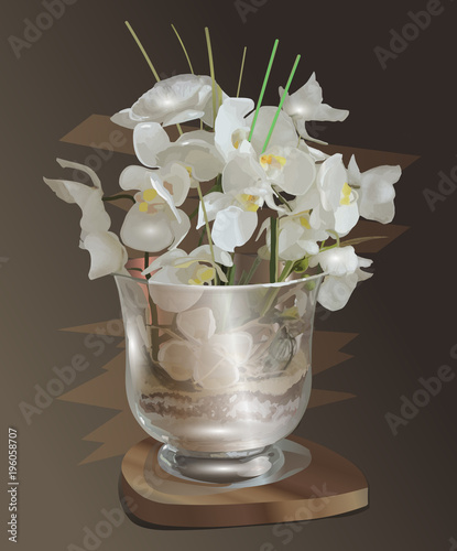 White orchid flowers in vase on dark background beautiful vector illustration