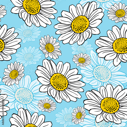 blossoming white daisies on a blue background