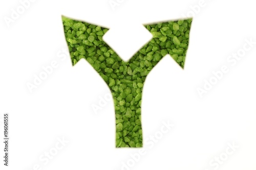 Green arrow represent the decision at a crossing direction