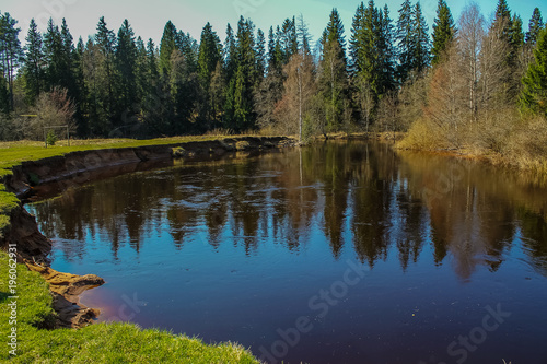 River out of the banks, spring