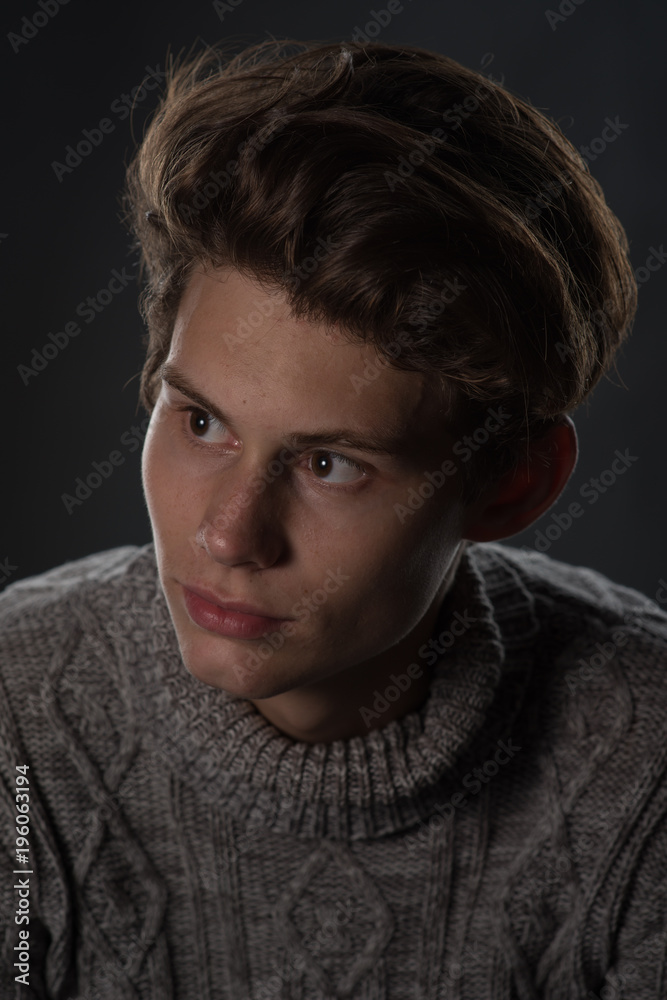 portrait of a beautiful teenager in a gray sweater portrait of a beautiful teenager in a gray sweater