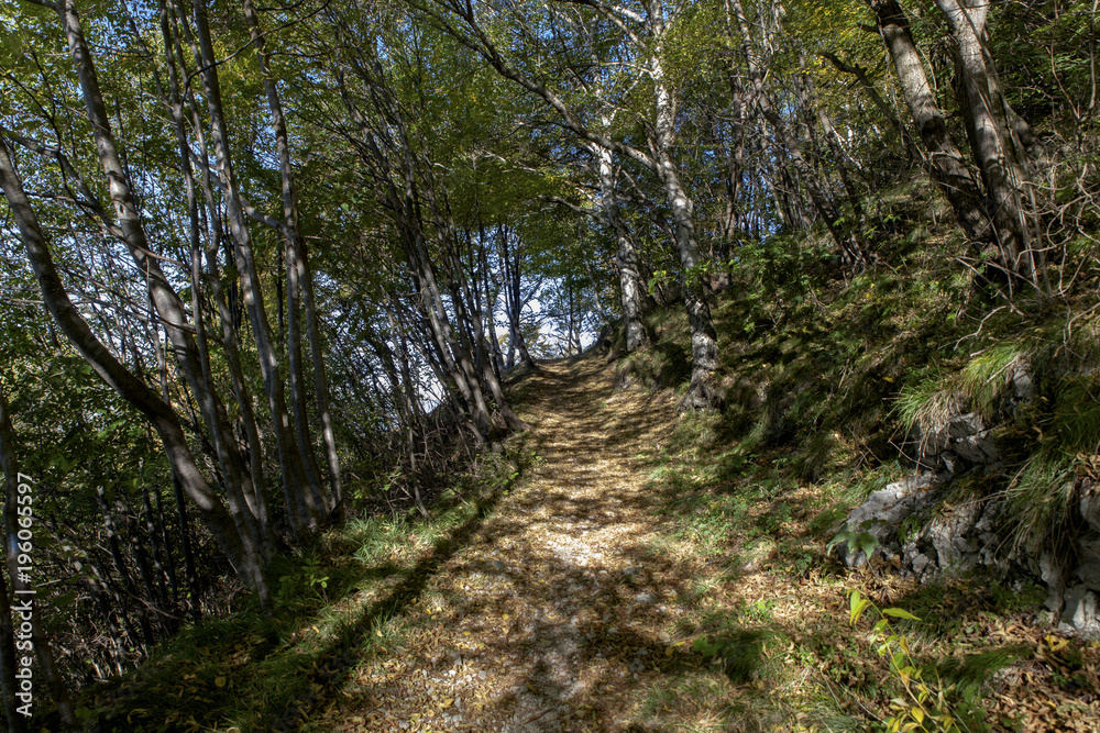 guardando la strada davanti a mè