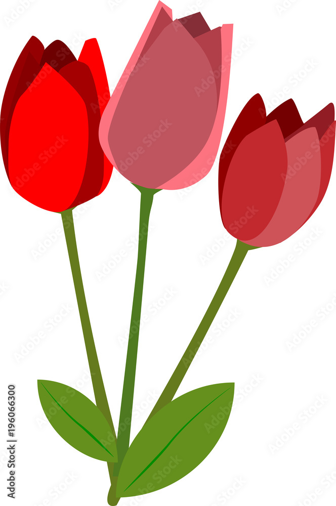 Tulipanes Rojos