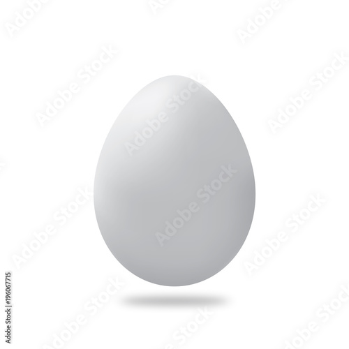 egg on white background