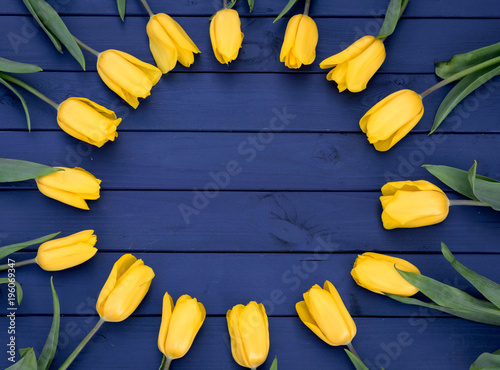 Fototapeta Naklejka Na Ścianę i Meble -  Blue tulip flowers on wooden backdrop, holiday postcard. Spring background. Greeting card for Valentine's Day, Woman's Day. Circle of flowers.