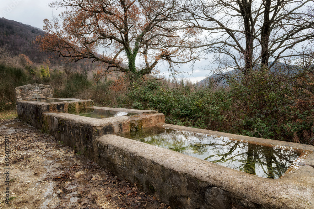 Watering hole for the animals consisting of three tanks filled with water Watering hole for the animals consisting of three tanks filled with water