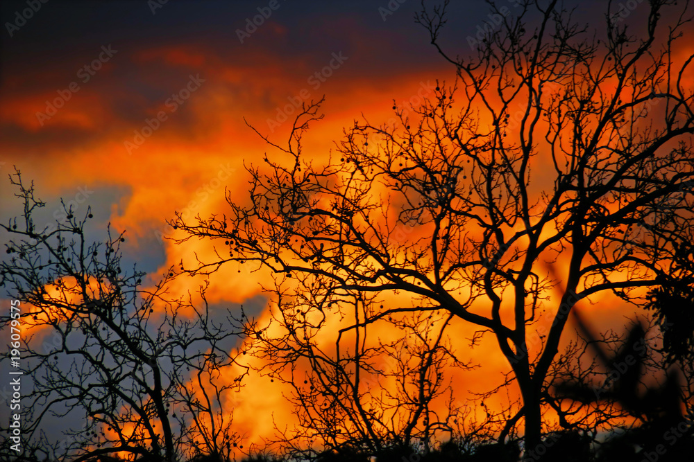 Fototapeta premium siluetas al amanecer
