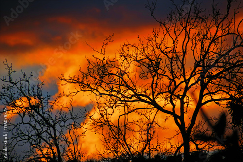 siluetas al amanecer © JImanol