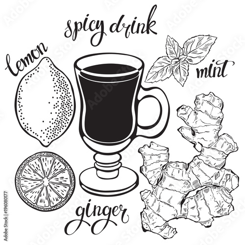 Spicy tea. Ginger, lemon and mint. Vector illustration with isolated elements of ingredients on a white background.