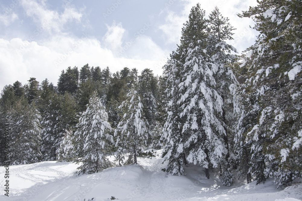 Fototapeta premium Mount Etna in winter