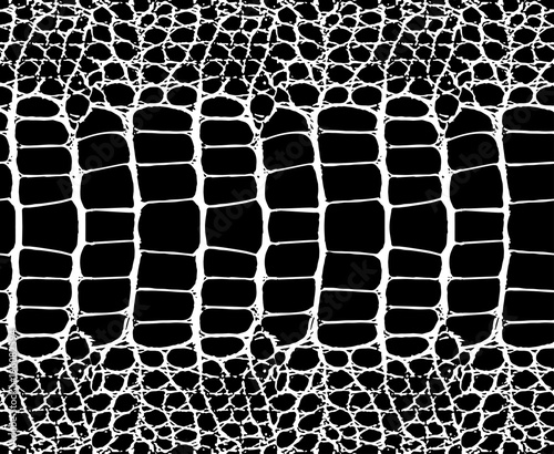 Snake skin pattern texture repeating seamless monochrome black & white. Vector. Texture snake. Fashionable print. Fashion and stylish background