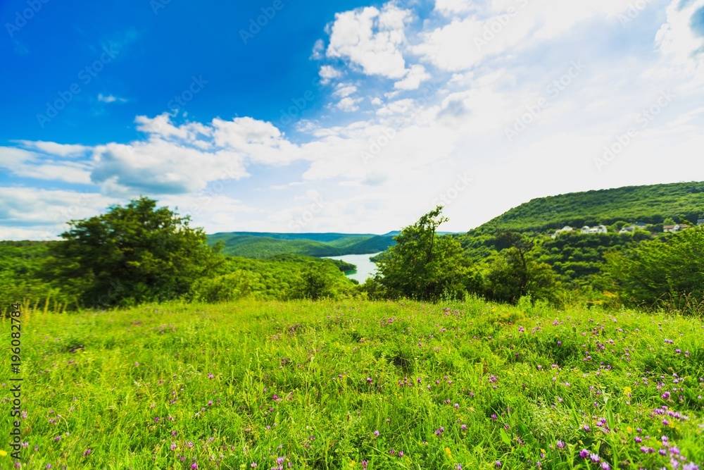Spring landscape.