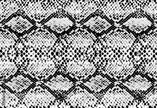 Snake skin pattern texture repeating seamless monochrome black & white. Vector. Texture snake. Fashionable print. Fashion and stylish background.