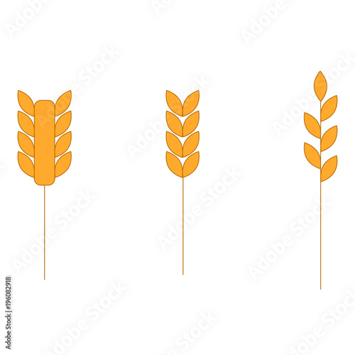 Wheat grain seeds placed on white background. Illustration of agriculture symbol. EPS10 vector.