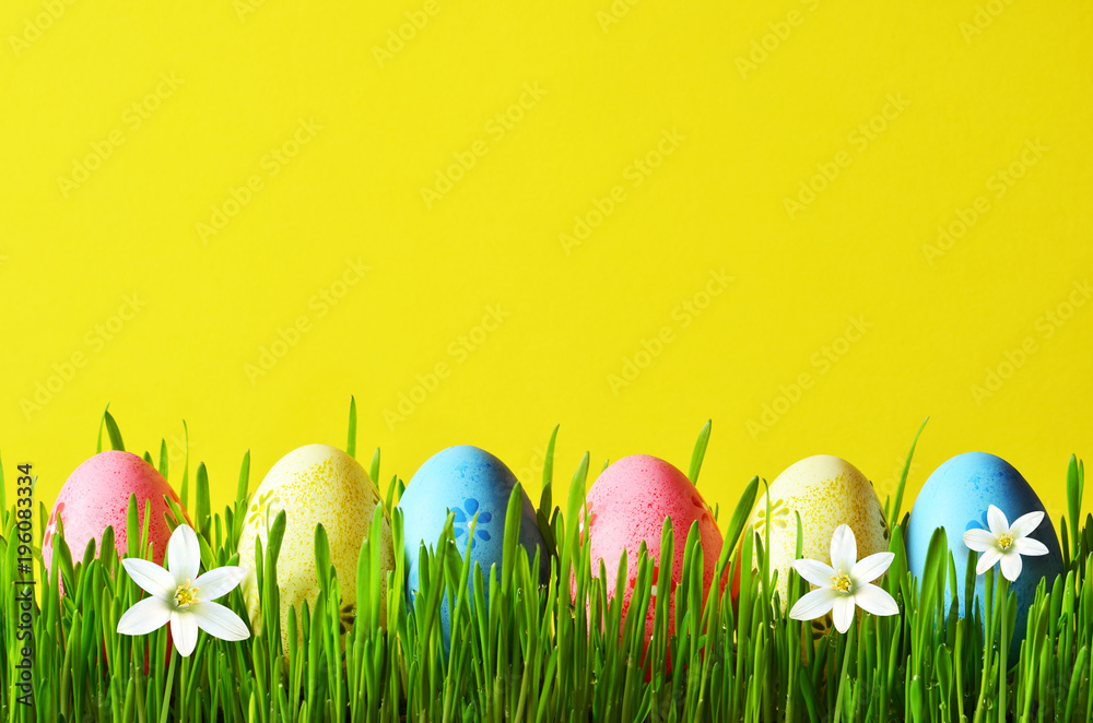 Painted Easter eggs in a green grass on a meadow and flowers.