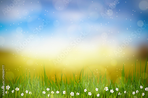 Wiosene tło, widok na trawę, kwiaty oraz na łąkę z pięknym rozmyciem bokeh
