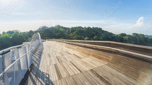 Photography people in pedestrian walk at wooden bridge walkway over forest with trees and modern urban city