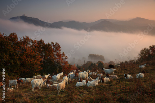 Das Siebengebirge im Herbst, Deutschland