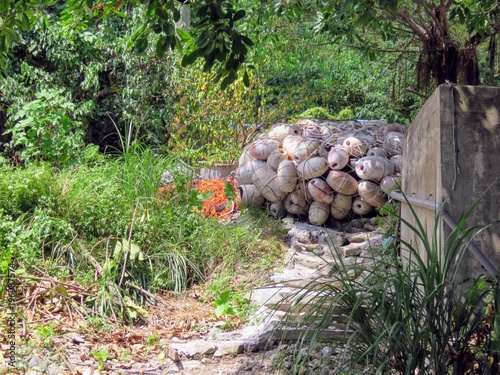 Fisherman's buoys in the jungle