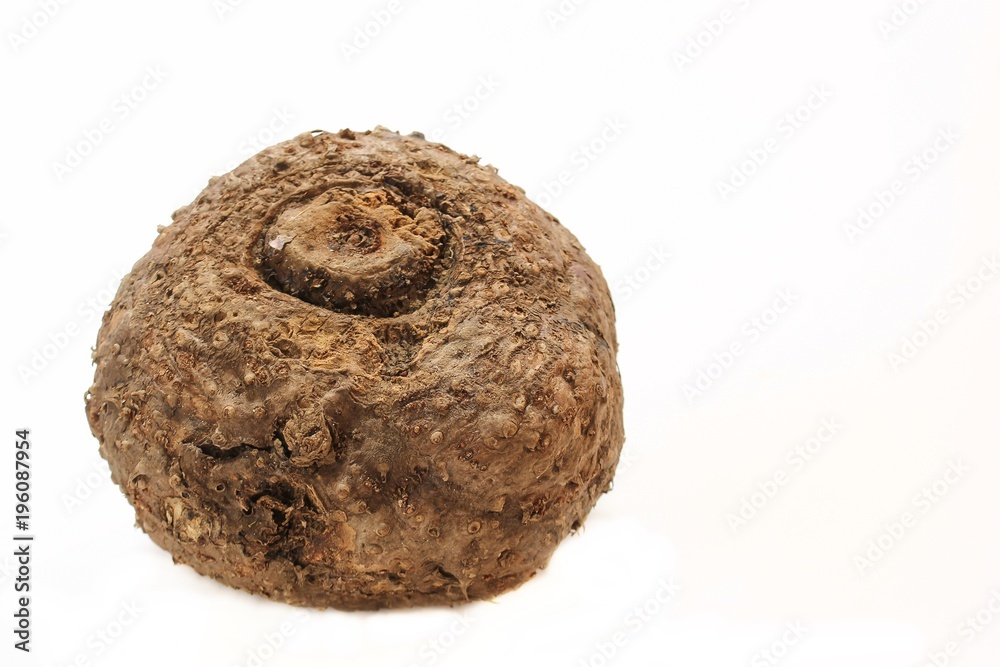 Raw Elephant Yam / Suran (Chena) , selective focus Raw Elephant Yam / Suran (Chena) , selective focus