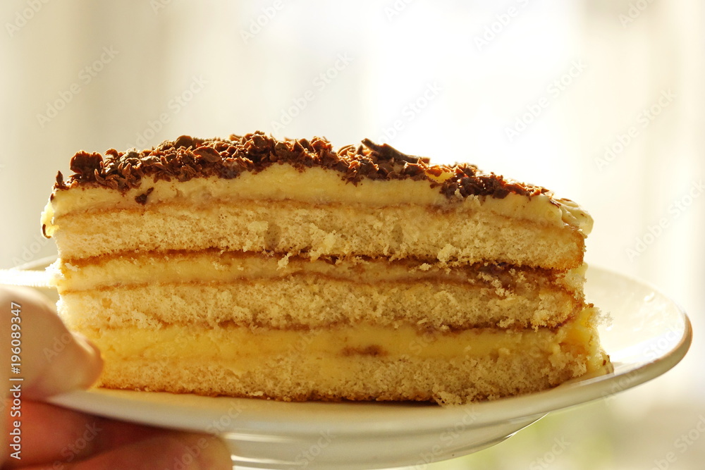 delicious piece of homemade cake. wife prepared for the holiday delicious piece of homemade cake. wife prepared for the holiday